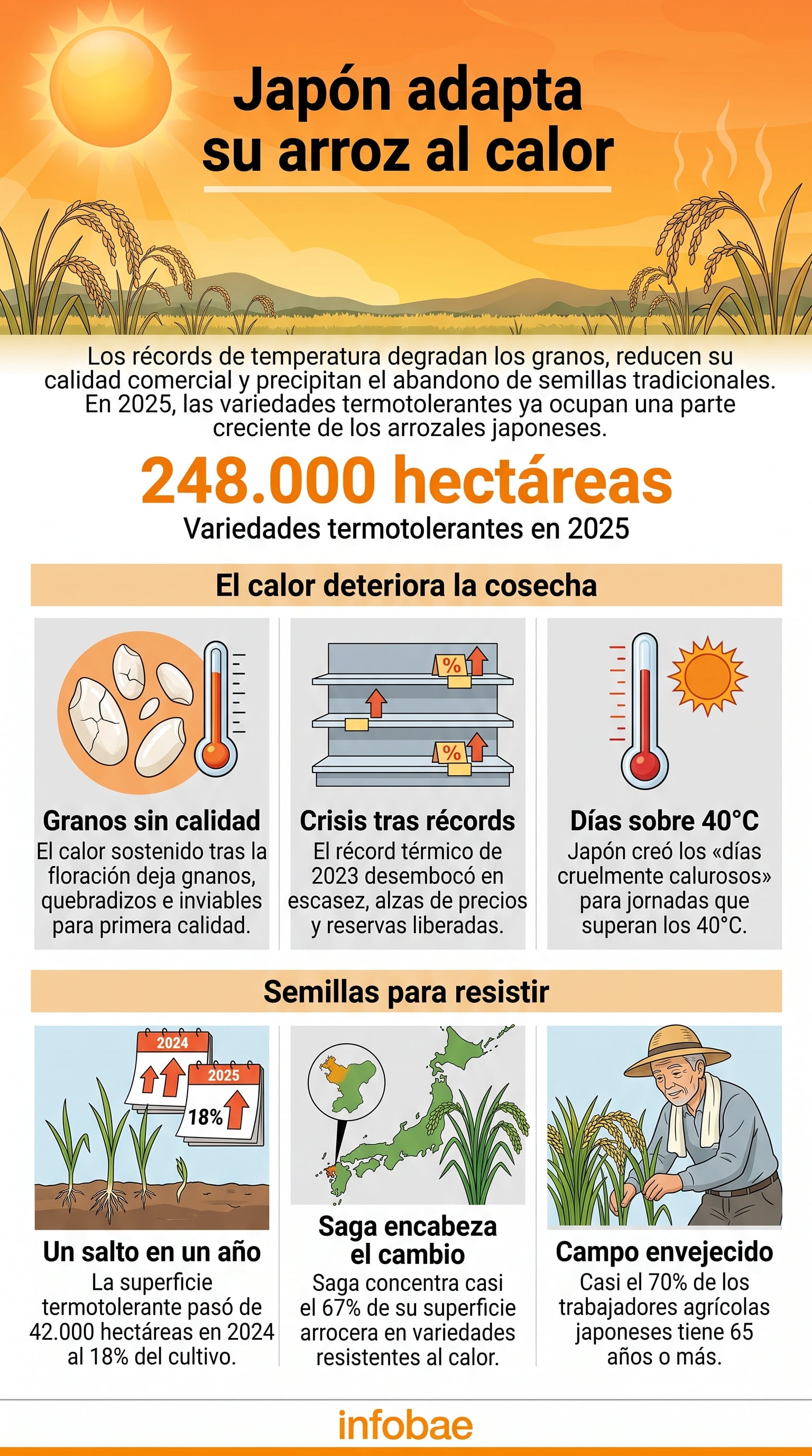 La adopción de variedades de arroz resistentes al calor en Japón responde al deterioro de las cosechas tradicionales causado por las temperaturas extremas (Imagen Ilustrativa Infobae)