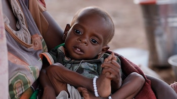 UNICEF alerta de que 20 años después la infancia de Darfur "vuelve a estar atrapada en una crisis catastrófica"