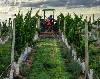 En estos desarrollos, como en