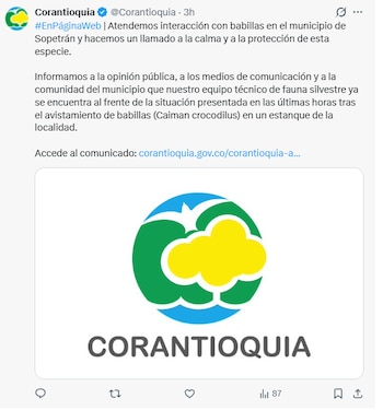 La Alcaldía del corregimiento indicó que el sitio donde han sido vistos los reptiles ya fue señalizado, por lo que pidieron a la comunidad tener cuidado - crédito @Corantioquia/X