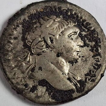 Durante las excavaciones también se