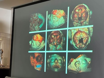 Una pantalla proyecta una cuadrícula con nueve reconstrucciones 3D de cabezas y cráneos en tonos verdes, naranjas y rojos