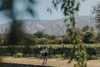 El enoturismo en Córdoba combina