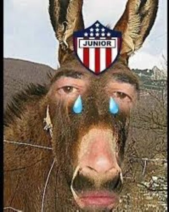 Pobre burrior - crédito redes