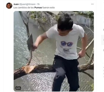 Los mejores memes de la