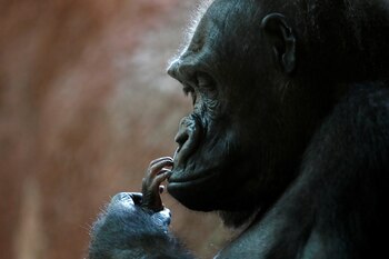 Cada 24 de septiembre se