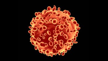 En el Día Mundial de