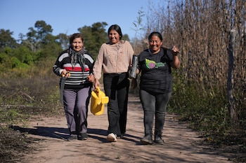 En Vinalito, en el monte jujeño, las mujeres criollas trabajan en la reforestación