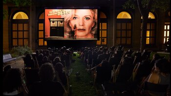 Del lienzo a la pantalla: