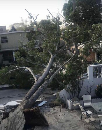 La CFE informó que ya