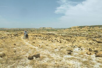 La Unión Internacional de Ciencias