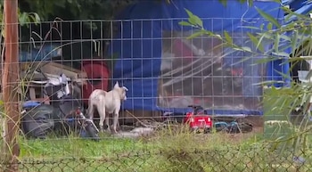 La casa en Las Piedras en la que vivía el hombre, junto a dos mujeres que torturaba y sus dos hijos (Captura Telemundo/Canal 12)
