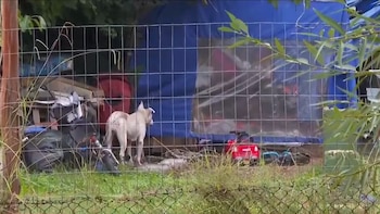 Horror en Uruguay: una mujer huyó de una casa en la que era abusada y drogada junto a otra víctima y sus dos hijos