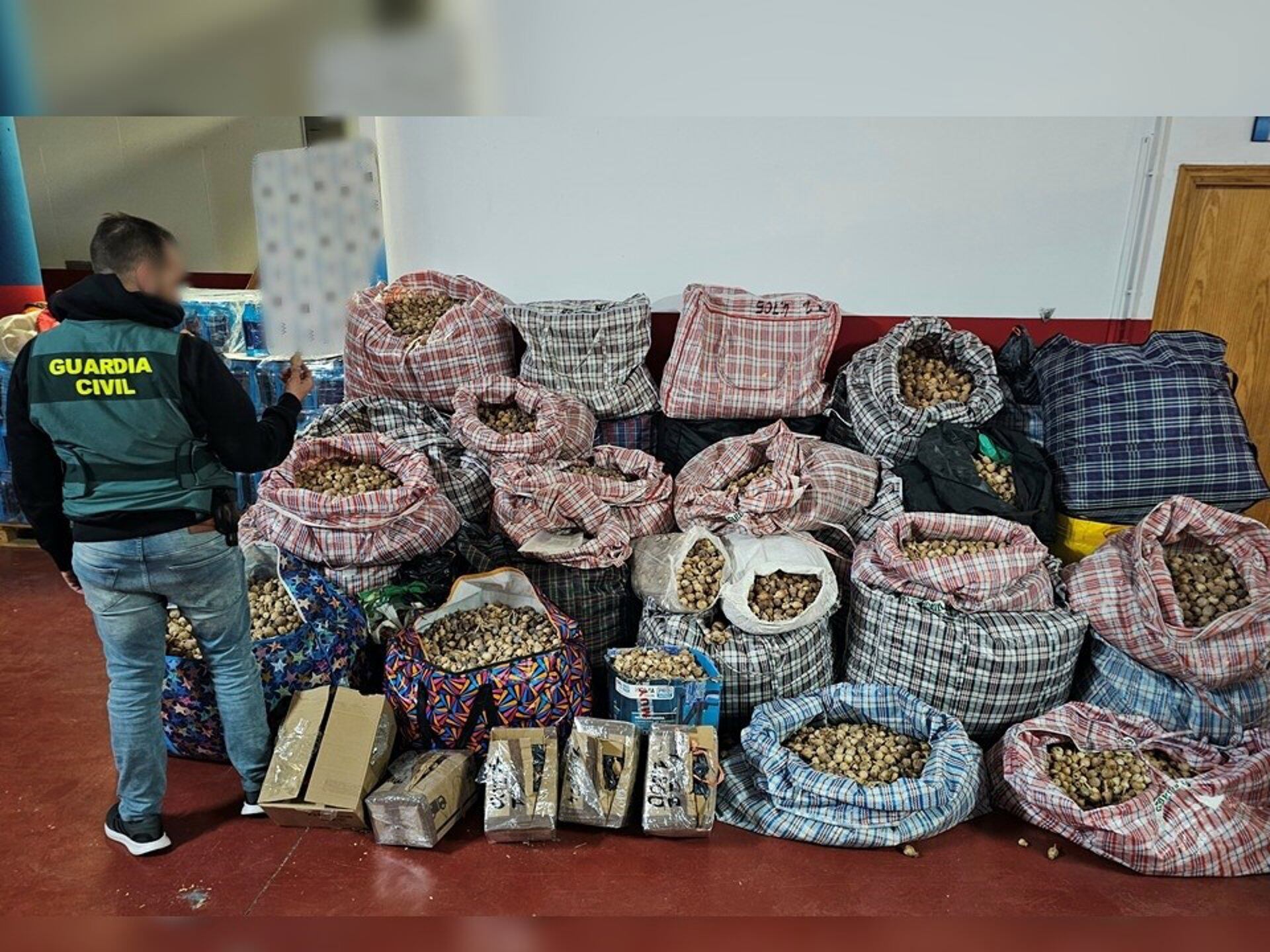 Detenidos tres hombres por robar y enviar amapola adormidera a España y Estados Unidos