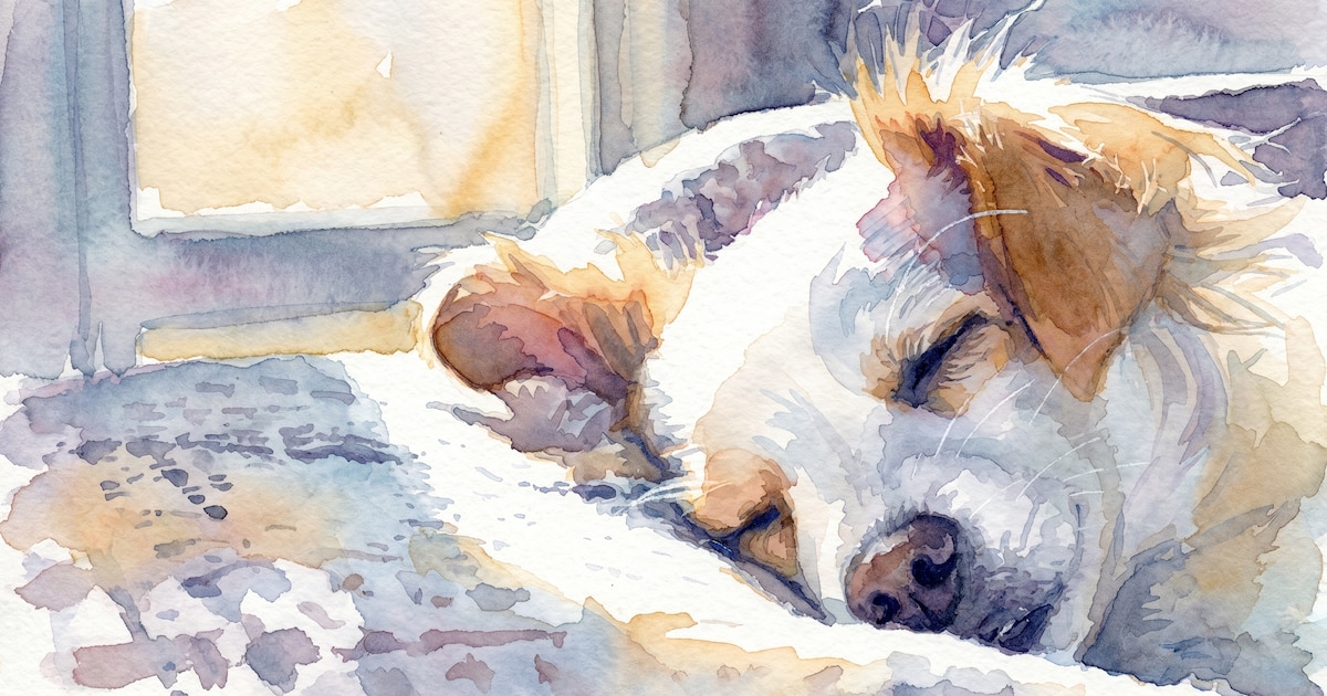 ¿Dolores de cabeza en perros? Signos, diagnóstico y tratamiento