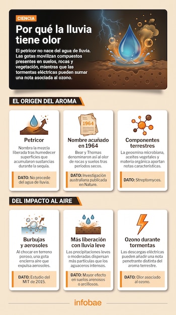 Infografía titulada Por qué la lluvia tiene olor con ilustraciones de una gota de agua, relámpagos, iconos informativos y texto explicativo.
