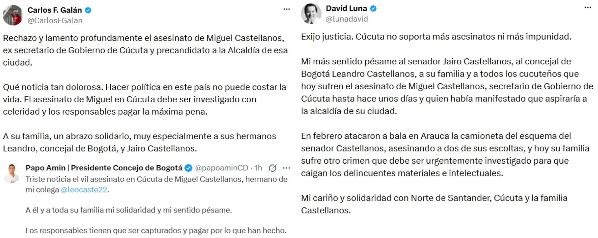 Galán, David Luna y Humberto Amín expresaron sus condolencias a la familia Castellanos y reclamaron justicia por el crimen. - crédito X