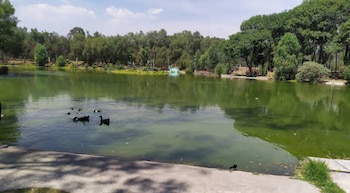 Se considera un delito cuando