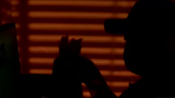 Casi 800 casos de estafa