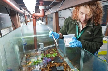 En el caso específico de