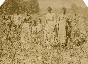 El valor de los esclavos