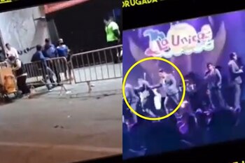 Foto: Composición / Instarándula