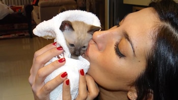 El triste recuerdo de Silvina Escudero a dos años de la muerte de su gata Áfrika: “Me cuidás desde arriba”