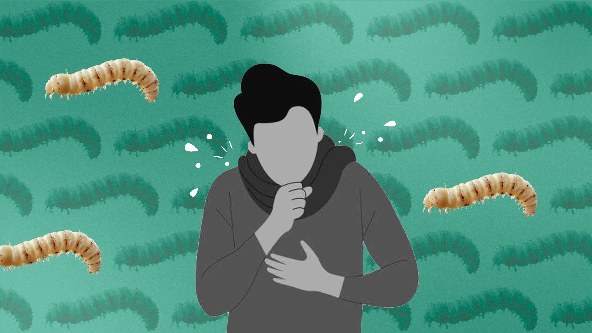 ¿Cuáles son los síntomas del gusano barrenador en humanos?(Foto: Infobae México/ Jovani Pérez)