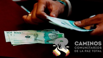 Programa clave de la Paz