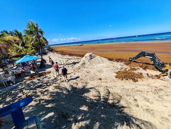 La llegada masiva de sargazo