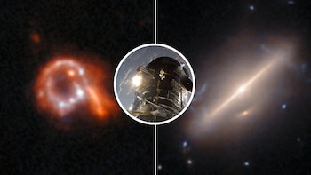 Entre los hallazgos más intrigantes