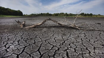 El mundo se moviliza frente