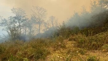 Tragedia en Piura: incendio forestal