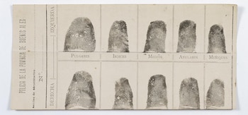 El método de Vucetich permitió