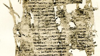 De qué trata “Queréas y