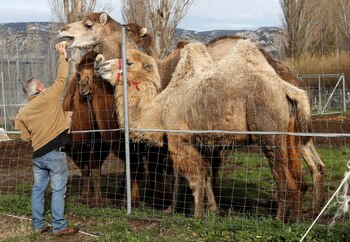 El hallazgo refuerza la necesidad