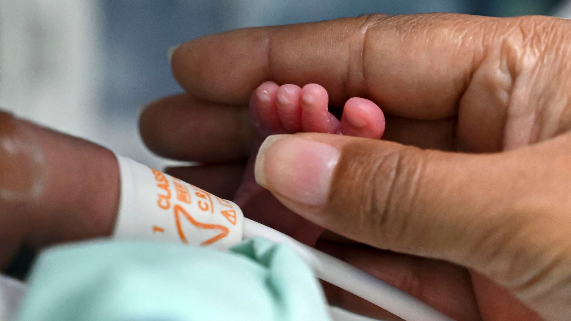 Diana Paola Angola who recovered of the novel coronavirus, COVID-19, caress her son Jefferson at the neonatal room in the Versalles Clinic, on June 25, 2020 in Cali, Colombia. (Photo by Luis ROBAYO / AFP)
