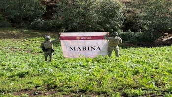 Golpe al CJNG: Marina localizó