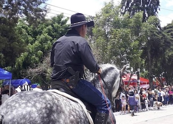 Hombre con sombrero negro y camisa oscura monta un caballo dapple gris. Al fondo, árboles, tiendas y una multitud de personas
