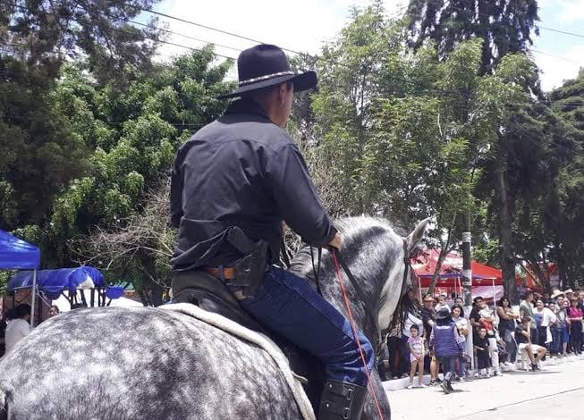 Un jinete con sombrero cabalga un caballo semental dapple gris frente a una multitud durante un evento al aire libre. (Diario de Centroamerica)