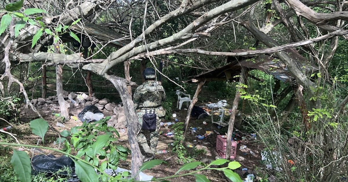 Na área do cartel Synalova: Encontrando Marina e encontrando três acampamentos melhorados Na área do cartel Synalova: Encontrando Marina e encontrando três acampamentos melhorados