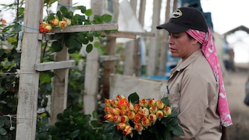 Este es el documento que