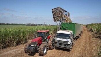 Biocombustibles: cuidado con ir a