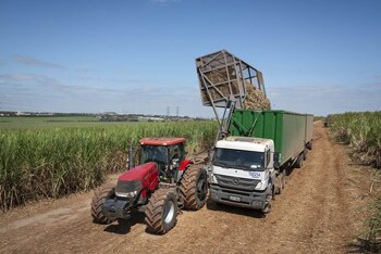 Shell International Limited/Handout vía REUTERS