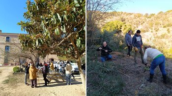 Presentación del aceite elaborado en