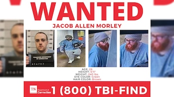 Cartel con la palabra en inglés WANTED, cuatro fotografías de un hombre, sus características físicas y un número de teléfono