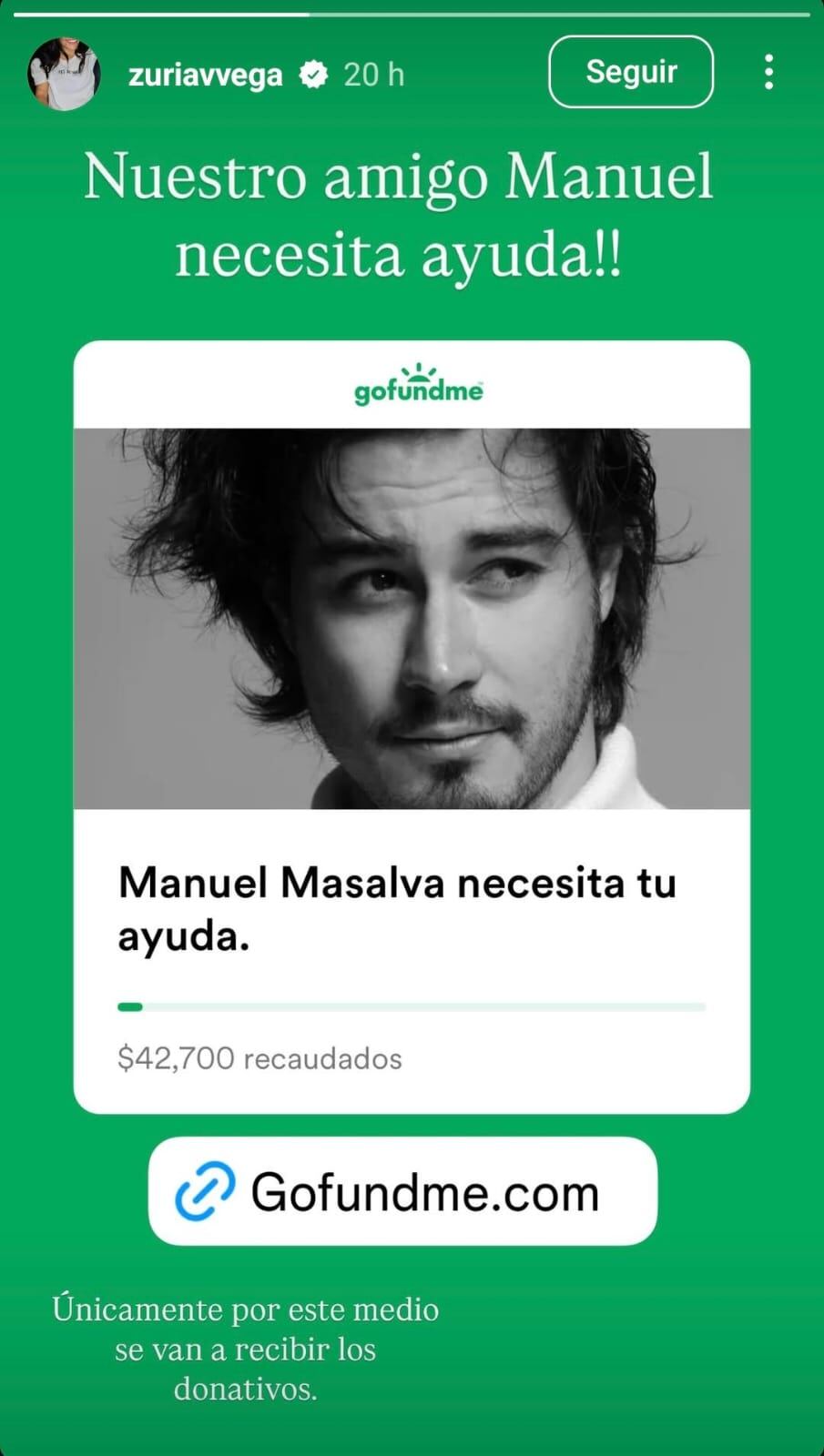 Zuria Vega, Alberto Guerra, Diego Klein, Gonzalo García Vivanco y Carolina Miranda, entre otros actores, compartieron en redes sociales mensajes de apoyo hacia Masalva, agregando en enlace a la iniciativa en GoFoundMe. (Foto: @zuriavega, Instagram)