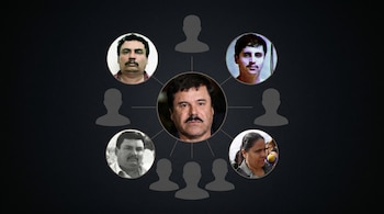 Composición gráfica que ilustra el árbol genealógico de la familia Guzmán Loera, con Joaquín "El Chapo" Guzmán en el centro, rodeado por retratos de sus hermanos identificados y siluetas para los no representados. (Imagen Ilustrativa Infobae)