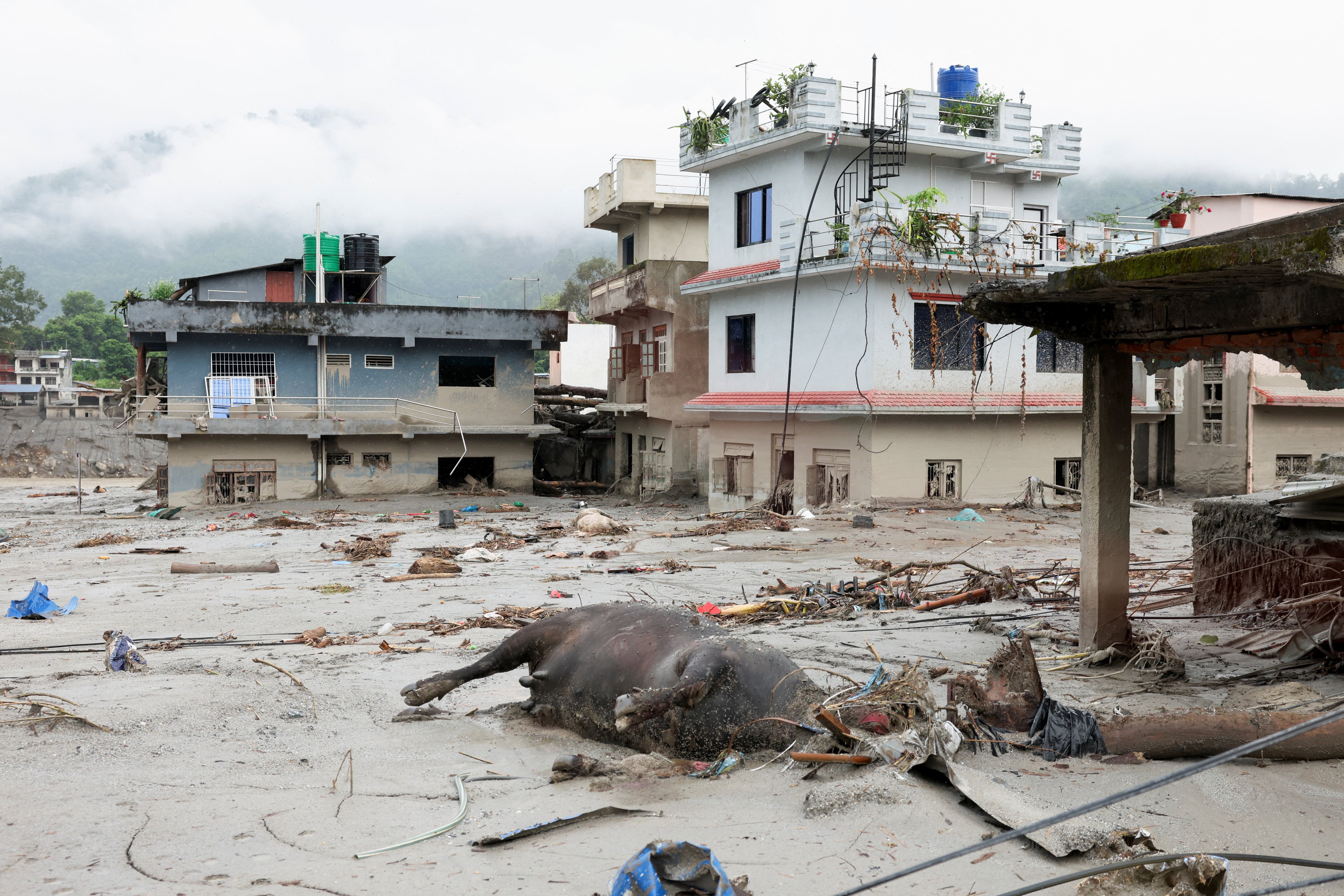 El cadáver de una res yace en el barro junto a casas dañadas tras las inundaciones repentinas y el deslizamiento de tierra en Devighat, distrito de Nuwakot, Nepal, el 29 de agosto de 2026 (REUTERS/Adnan Abidi)