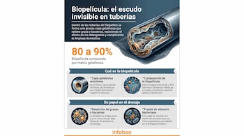 Infografía con una tubería en corte que muestra la biopelícula, junto a gráficos de bacterias, composición molecular y texto explicativo sobre el tema.